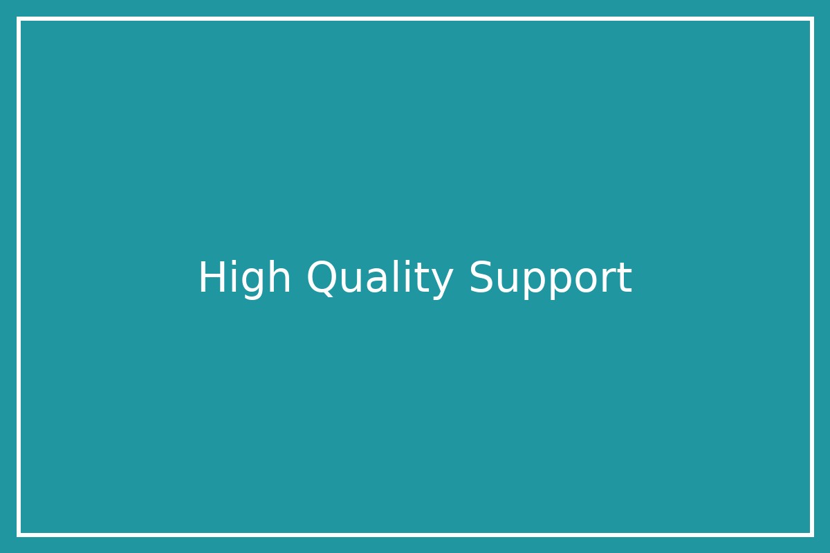 High quality support—technician assisting with a computer